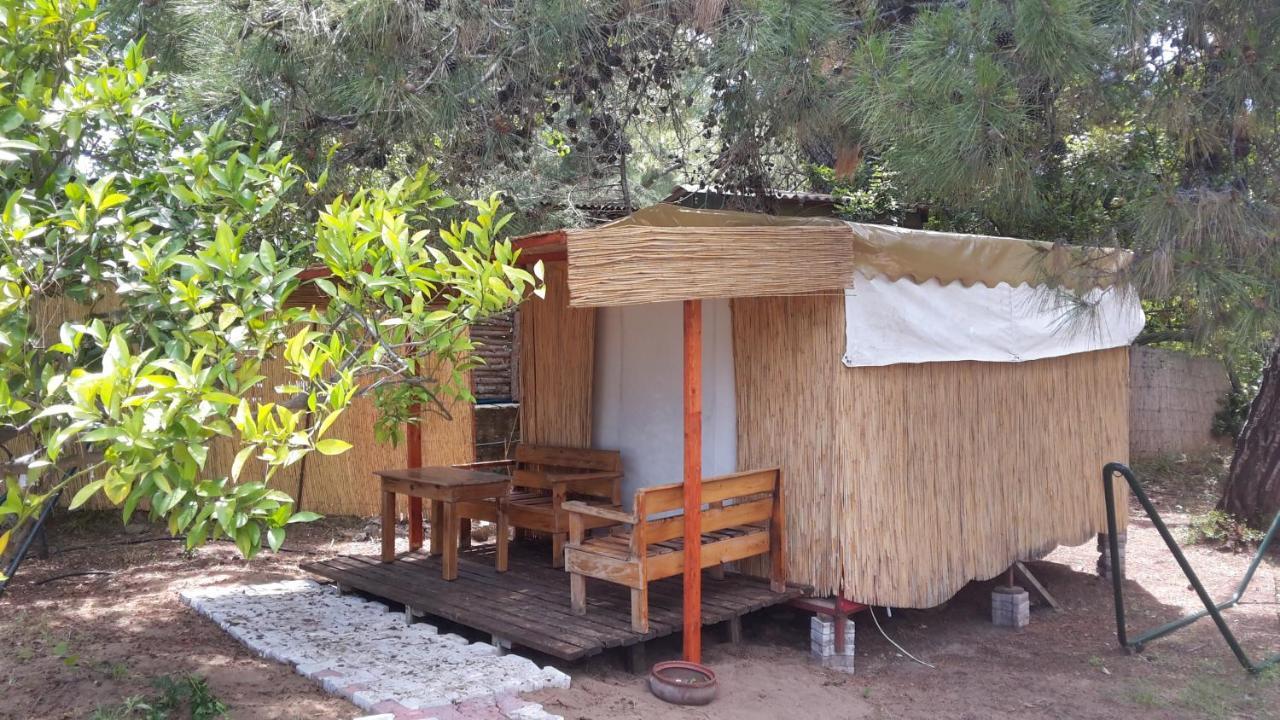 Secret Garden Hotel & Bungalows Cirali Exterior photo